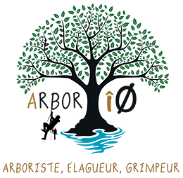 travaux arboricoles oleron charente maritime arborio